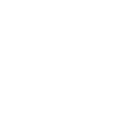 light logo